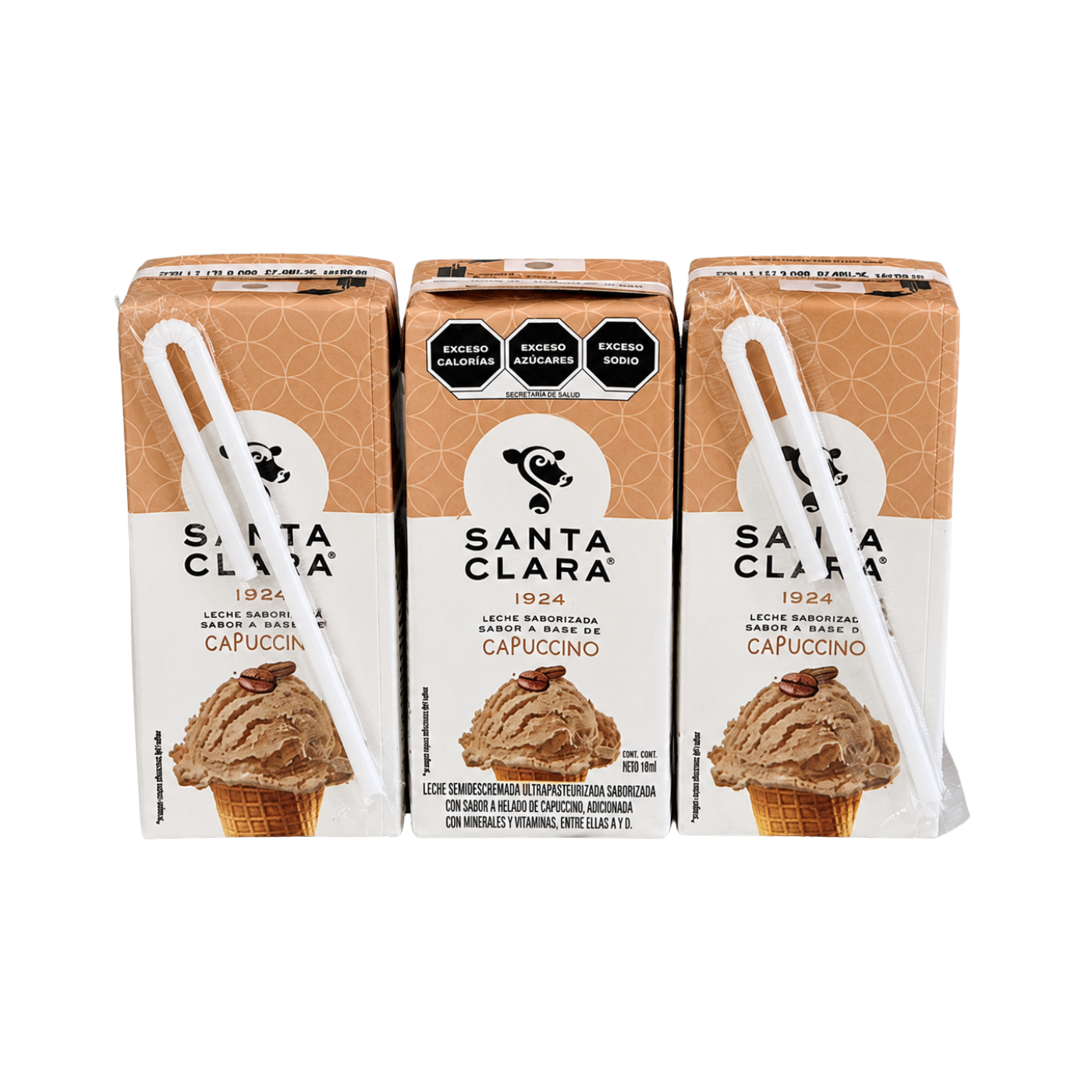 Leche Saborizada Santa Clara Capuccino 180ml