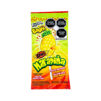Bagix Paleta con Polvo